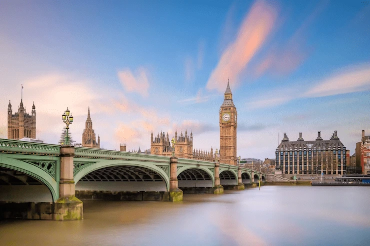 Advisor guiding expat on UK investment